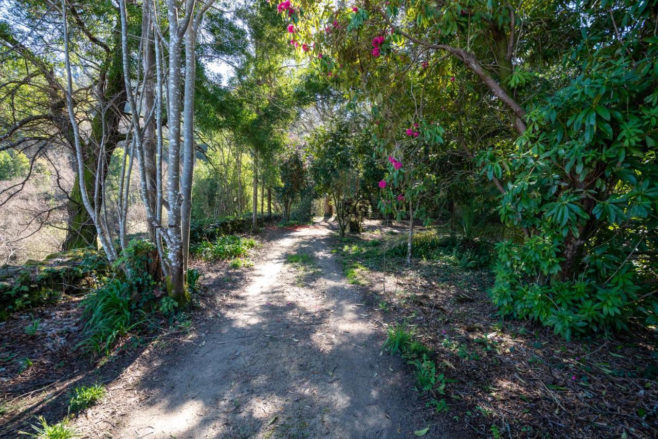Quinta Das Lamas - Antiga Adega Vouzela Exterior foto